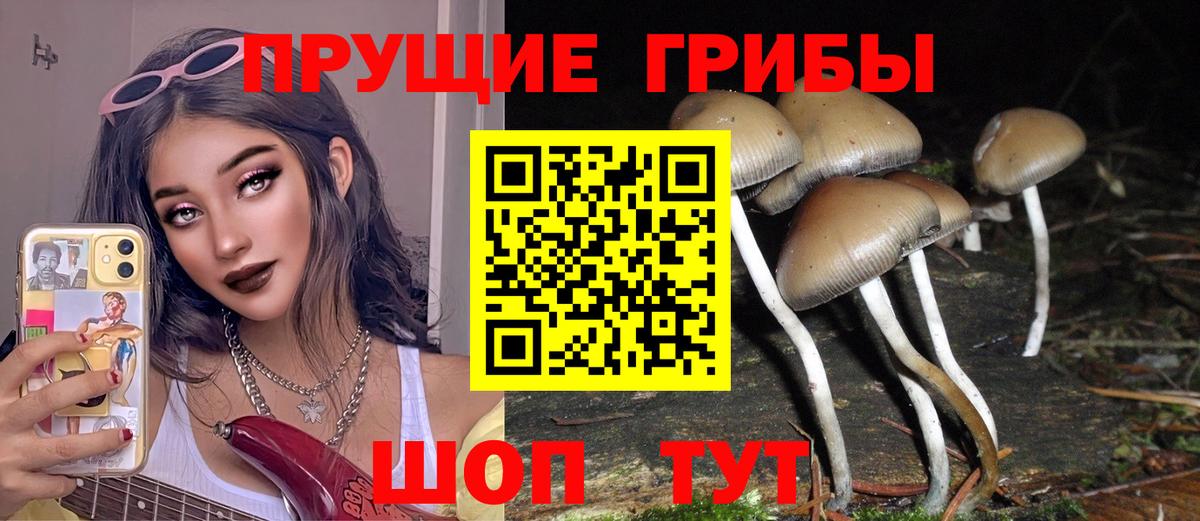 Галлюциногенные грибы GOLDEN TEACHER Красноярск